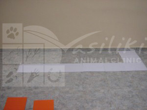 waiting room before7